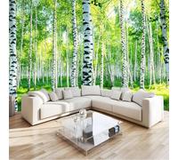 Wallpaper Photo Summer Birch Forest Green 250x175 cm Art Prin Non-Woven Eco-Friendly Wall Mural Poster Photo Wallpaper for Dining Room Kitchen Home Decoration