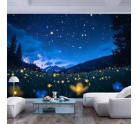 Wallpaper Photo XXXL extra large Star filled night sky over glowing field Star filled night sky over glowing field3D Wall Paper Living Room Tv Bedroom Boy Girl Children's Room Giant Sticker 3D Home D