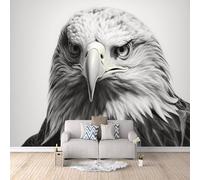 Wallpaper - Wall Mural Falcon 300 x 210 cm / 118" x 82.6" - Non-Woven Premium Art Print Fleece Wall Mural Decoration Poster Picture Design Modern - Gray Animal Falcon C-B-1769-1-A