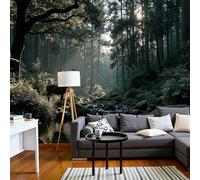 Wallpaper Wall Mural Green Realistic Photography Style Sunlight Trees Deer 250x175cm 3D Photo Wallpaper Silk Walls Mural Poster, for Living Room Bedroom Corridor TV Background Wall Decor Murals