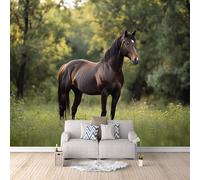 Wallpaper - Wall Mural Horse 300 x 210 cm / 118" x 82.6" - Non-Woven Premium Art Print Fleece Wall Mural Decoration Poster Picture Design Modern - Forest Animal Black Horse C-B-1769-1-A