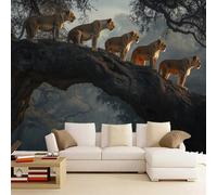 Wallpaper - Wall Mural Lion Pride 365 x 254 cm Photo Wallpaper Lion Non-Woven Premium Art Print Wall Mural Decoration for Living Room, Bathroom, Bedroom