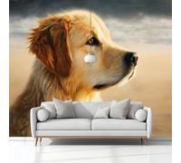 Wallpaper Wall Murals Oil Painting Animal Golden Retriever Light Brown Mural for Bedroom Living Room Decor, Non-Woven Print Photo Wallpaper 350x245 cm Wall Decorative Background