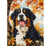 Wallphantom Animal Dog Bernese Mountain Dog Paint by Numbers Kit for Adults Beginners,Forest Landscape,Canvas Pictures Drawing Paintwork with Paintbrushes,Acrylic Pigment,16x20inch with Frame