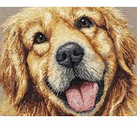 Wallphantom Animal Dog Latch Hook Rug Kit for Adults,Golden Retriever Puppy,Latch Hook Kits,Rectangular Mat,for Bedroom,Living Cushion Beginners Craft Kits,80x160cm