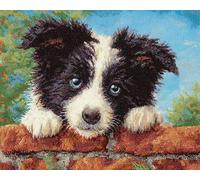 Wallphantom Animal Dog Latch Hook Rug Kits for Adults,Border Collie,DIY Crochet Yarn Carpet Embroidery Rug Kit,Latch Hook 3D Craft for Home Decor Festival Gift,52x38cm