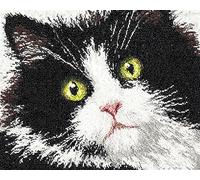 Wallphantom Animal Latch Hook Rug Kit for Adults,A Cute Black and White cat,Latch Hook Kits,Rectangular Mat,for Bedroom,Living Cushion Beginners Craft Kits,80x160cm