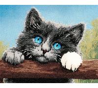 Wallphantom Animal Latch Hook Rug Kits for Adults,Cute Gray cat,Rug Making Kits Embroidery DIY Crochet Yarn for Beginners,Kids Craft Creative Gift,80x160cm
