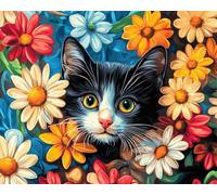 Wallphantom Colorful Daisy Flower Clusters Paint by Numbers Kits Canvas,Animal cat,DIY Acrylic Painting by Numbers Kits for Art Crafts Gift,16x20inch with Frame