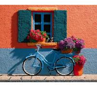 Wallphantom DIY Latch Hook Rug Kit Handmade Carpet,Bicycle Under the Window
