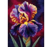 Wallphantom Flowers Latch Hook Kits for Adults,Colorful Irises,3D Crochet Hooks Kit Rug Carpet Making Cushion DIY Crafting for Home Party Decor,Latch Hook Rug,60x90cm