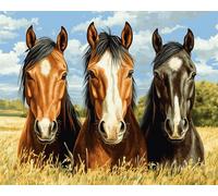 Wallphantom Grassland Animals Creative Canvas Paint by Number Kit for Adults,Three fine Horses,Digital Oil Number Painting Kits Acrylic Pigment Paintwork for Gift,16x20inch with Frame
