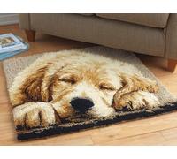 Wallphantom Latch Hook Kits for Adults,Cute Golden Retriever,3D Crochet Hooks Kit Rug Carpet Making Cushion DIY Crafting for Home Party Decor,Latch Hook Rug,60x90cm