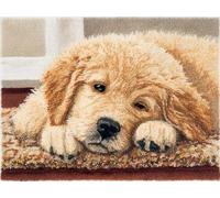 Wallphantom Latch Hook Rug Kits for Adults Beginners,Cute Golden Retriever,Latch Hook Kits for Bedroom,Living Cushion Adult Craft Gifts,52x38cm