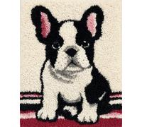 Wallphantom Latch Hook Rug Kits for Adults Beginners,French Bulldog,DIY Crochet Rug Making Kit with Printed Patterns Rug Making for Home Decoration Gifts,60x90cm