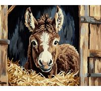 Wallphantom Latch Hook Rug Kits for Adults,Farm Animal Donkey,DIY Crochet Yarn Carpet Embroidery Rug Kit,Latch Hook 3D Craft for Home Decor Festival Gift,52x38cm