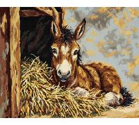 Wallphantom Latch Hook Rug Kits for Adults,Farm Animal Donkey,Rug Making Kits Embroidery DIY Crochet Yarn for Beginners,Kids Craft Creative Gift,80x160cm