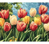 Wallphantom Painting by Numbers for Adults Beginners,Beautiful Tulip Bushes,DIY Digital Oil Painting Kits on Canvas Craft Kit for Christmas,Birthday Gift,16x20inch with Frame