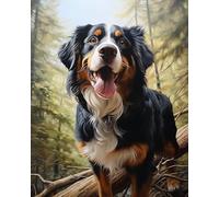 Wallphantom Relaxing Painting by Number Kit for Adults,Animal Dog Bernese Mountain Dog,Paint by Numbers DIY Acrylic Oil Painting Kits Handmade Artwork Gift,16x20inch with Frame