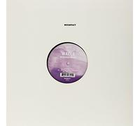 Walls - Into Our Midst [VINYL]