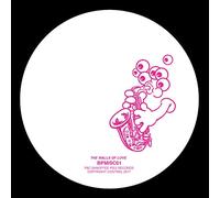 Walls Of Love [VINYL]