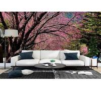 WallustrioaW 3D Custom Seamless Wallpaper,Photo Mural,Forest Path Park Landscape Suitable for Living Room Bedroom,Easy to Install,Home Decoration for UK Homeowners-430X300Cm