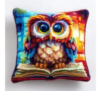 WallustrioaW Animal Bird Latch Hook Kit Cushion for Adults,Cartoon owl,DIY Craft Latch Hook Rug Kits 43x43cm,Embroidery Pillow Cover for Christmas,Gifts,17x17inch