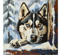 WallustrioaW Animal Dog DIY Latch Hook Kits,Cute Husky,Latch Hook Pillow Case Kits Embroidery Kits Carpet Set,DIY Craft Handmade Gifts Kits,17x17inch