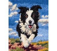 WallustrioaW Animal Dog Latch Hook Kits for Adults,Border Collie Under The Blue Sky,Rug Making Kit DIY Craft Latch Hook Rug Set Tapestry Cushion Pre-Printed Patterns,52x38cm