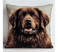 WallustrioaW DIY Latch Hook Kits for Adults Beginners Animal Dog,Newfoundland Dog pet,Latch Hook Pillow Case Kits DIY Pillow Cover Making Craft Printed Canvas for Beginners,17x17inch