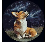 WallustrioaW DIY Latch Hook Rug Kits for Beginners Adults,Corgi Under The Starry Sky,Latch Hook Rug Kits Carpet Making Crafts DIY Craft Gifts,50x50cm