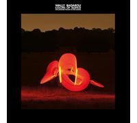 WALLY BADAROU - COLORS OF SILENCE - Vinyl Record - A4z