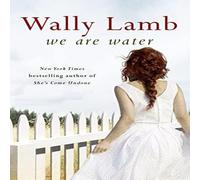 Wally Lamb We Are Water Paperback Book Wally Lamb Multicolor