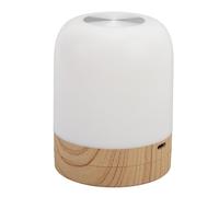 Walmeck Dimmable Night Light, RGB Color Changing Warm Light Portable Bedside Touch Lamp with Memory Function and Hanging Loop, Rechargeable Nightstand Light for Home Nursery, Great for