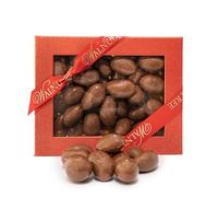 Walnut Tree - Gourmet Brazil Nuts Gift, Covered in Creamy Milk Chocolate - Handpacked in the UK - Great Taste Award Winner - Luxury Gift Selection, Birthday, Anniversary, 300g
