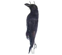 Walopola Realistic Hanging Dead Crows Decoy, Black Feathered Crow Fake Crow Decoy, 17 Inch Simulation Crow, Halloween Feathered Crows For Garden Scaring Birds Away