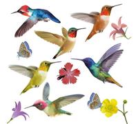 Walplus Big Hummingbirds Double-Sided Window Clings - 58Pcs Bird Window Decals, Bird Window Stickers Anti-Collision (6 Sheets)