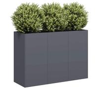 Walplus Planter Anthracite 120X40X80 Cm Cold-Rolled Steel