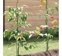 Walplus Spiral Plant Supports 5 Pcs Green 150 Cm Pvc Coated Steel