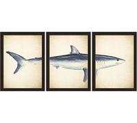 Walplus Wall Stickers Great White Shark Posters Murals Decals art living Room Nursery School Restaurant Hotel Cafe Office Décor Home Decoration, multicolour
