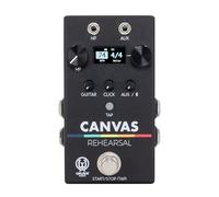 Walrus Audio Canvas Rehearsal Pedal