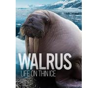 Walrus: Life on Thin Ice
