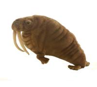 Walrus Plush Soft Toy by Hansa 5331