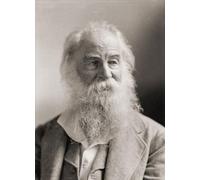 Walt Whitman 1819-1892. American poet. After a photograph by Napoleon Sarony. Poster Print by Ken Welsh (12 x 16)
