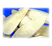 Walter Harrison's Cuttlefish Bone Bird Food - 12kg