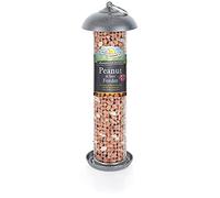 Walter Harrison's Hammered Silver Wild Bird Hanging Peanut and Suet Feeder - 30 cm