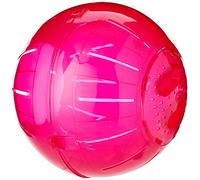 Harrisons Small Animal Exercise Ball - Large 25cm