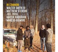 WALTER III/STEVENS,MATTHEW SMITH - IN COMMON-DELUXE EDITION VINYL LP + MP3 NEW