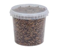 Walter’s Meal Worms (2L Tub - 530g) - Dried Mealworms for Birds, Bird Food in Stay Fresh, Easy Tubs…