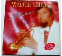 Walter Scholz - Melodien, die von Herzen kommen (1989) / Vinyl record [Vinyl-LP]